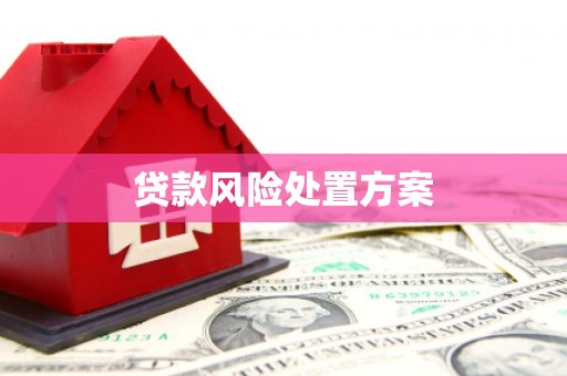 南平贷款风险处置方案