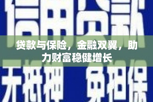 南平贷款与保险，金融双翼，助力财富稳健增长