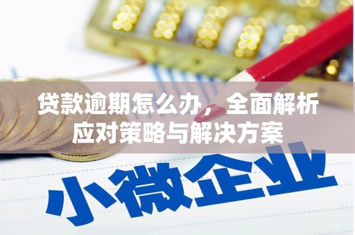 南平贷款逾期怎么办，全面解析应对策略与解决方案