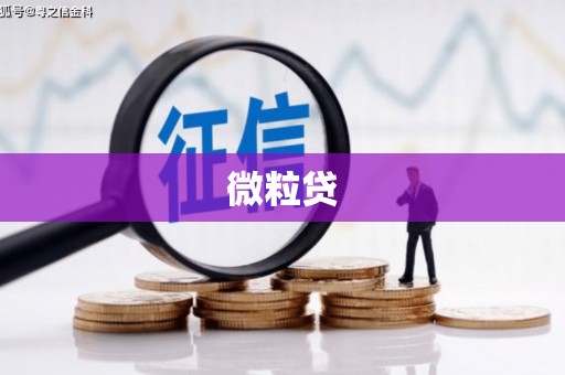 南平微粒贷