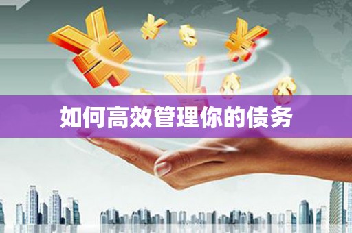 南平如何高效管理你的债务