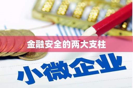 南平金融安全的两大支柱