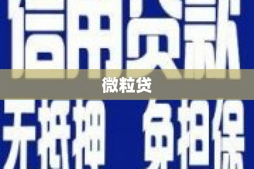 南平微粒贷