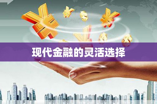 南平现代金融的灵活选择
