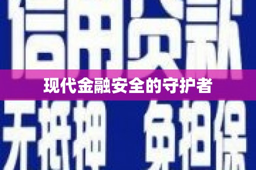 南平现代金融安全的守护者
