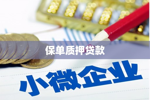 南平保单质押贷款