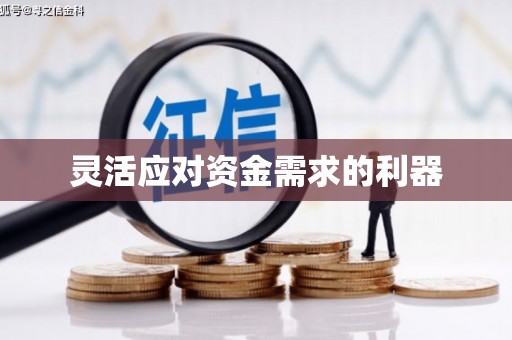 南平灵活应对资金需求的利器