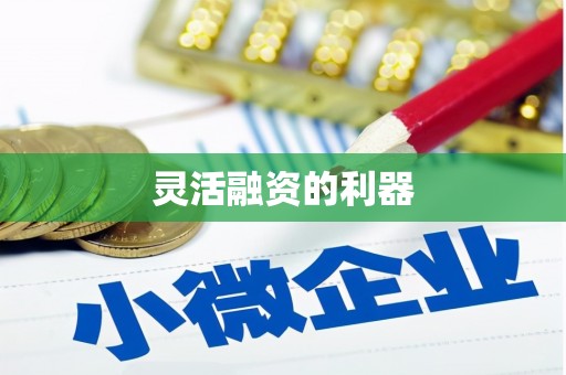 南平灵活融资的利器