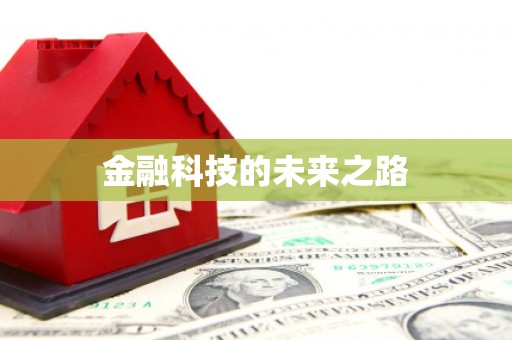 南平金融科技的未来之路