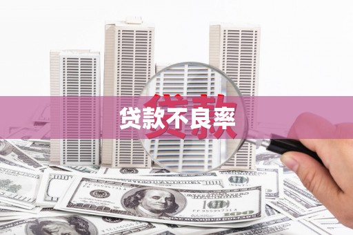 南平贷款不良率